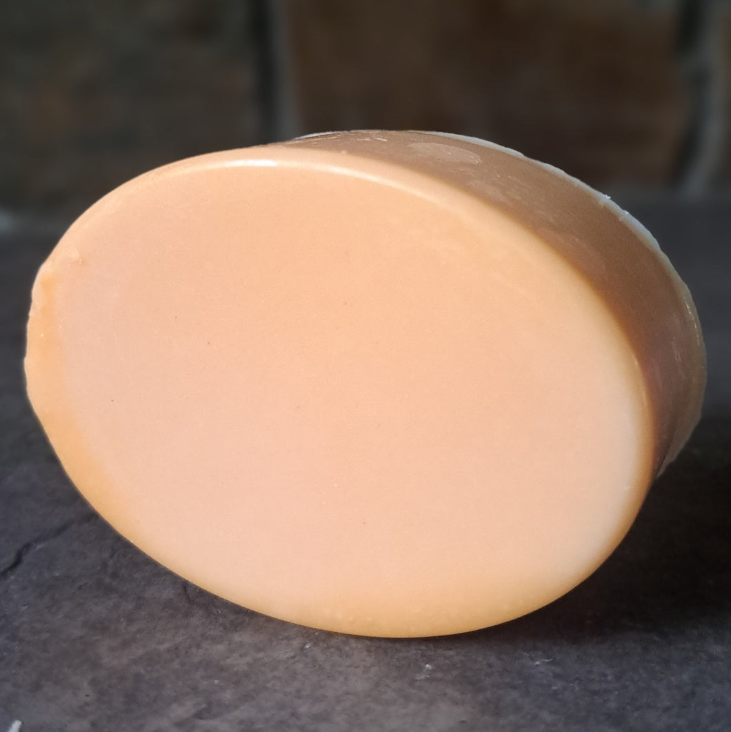 Conditioner Bar - for normal to dry hair